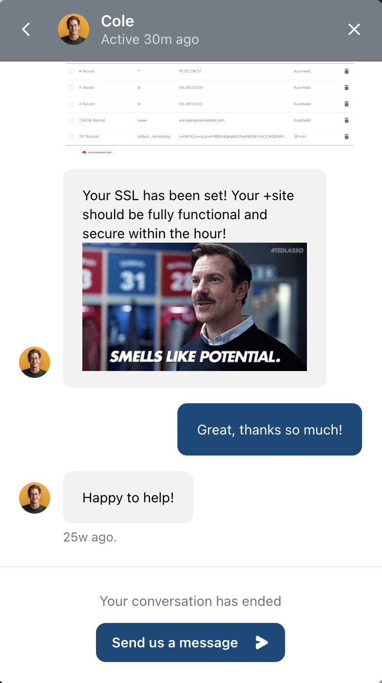 Screenshot of messaging customer support in Showit, showing a thread where you're clearly talking to another human almost like a friend chatting to you, and they're sending GIFs.